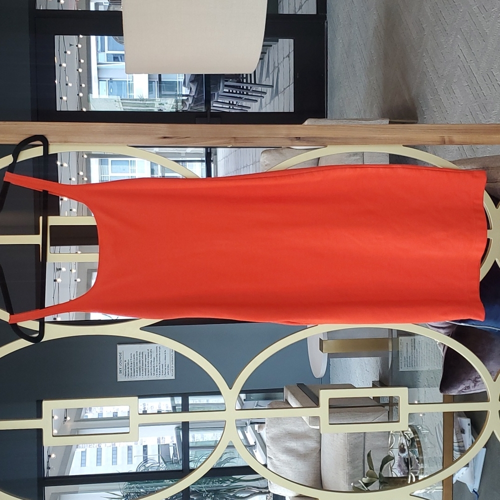 Zara dress